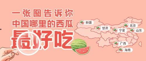 朝阳吃瓜群众一枚,揭秘京城街头巷尾的热辣话题